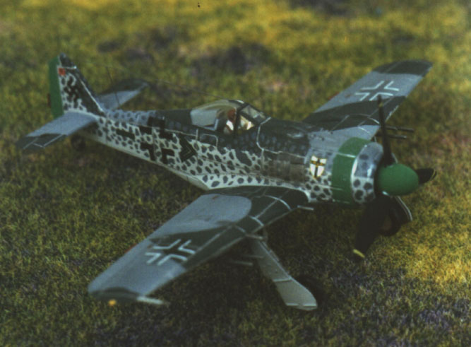 Model FW 190